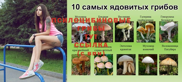 мяу мяу мука Арсеньев