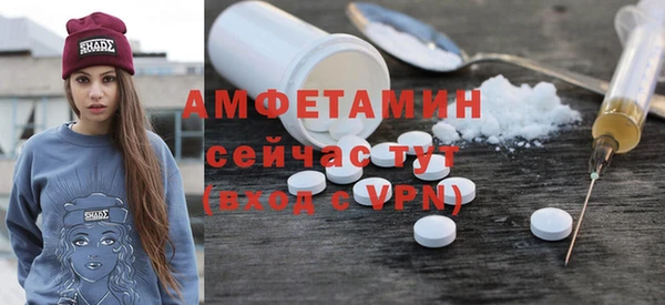 прущие грибы Аркадак