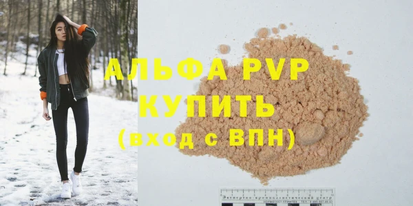 прущие грибы Аркадак